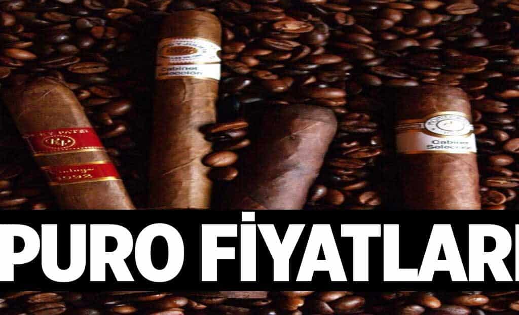 Puro Fiyatlari 1024x622AEg.jpg