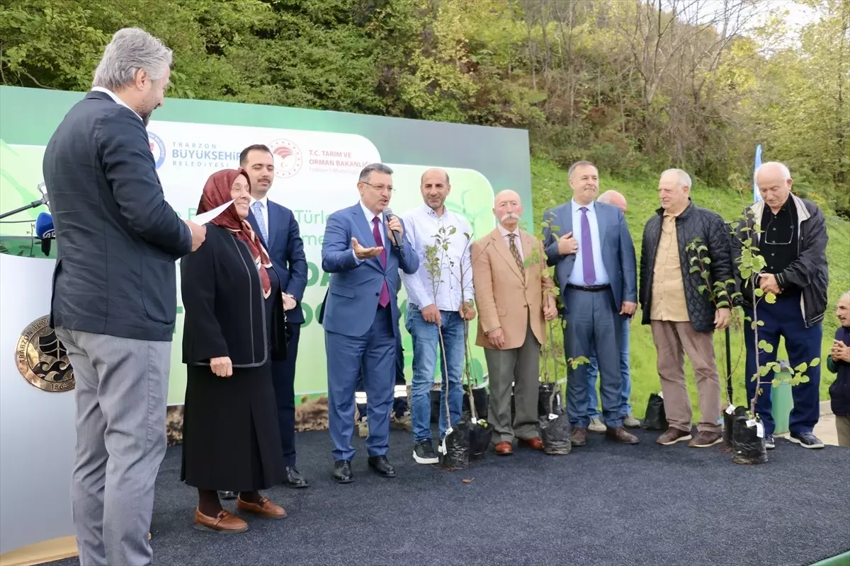 trabzonda yerel meyve fidani dagitimi WiaiSG6N.jpg