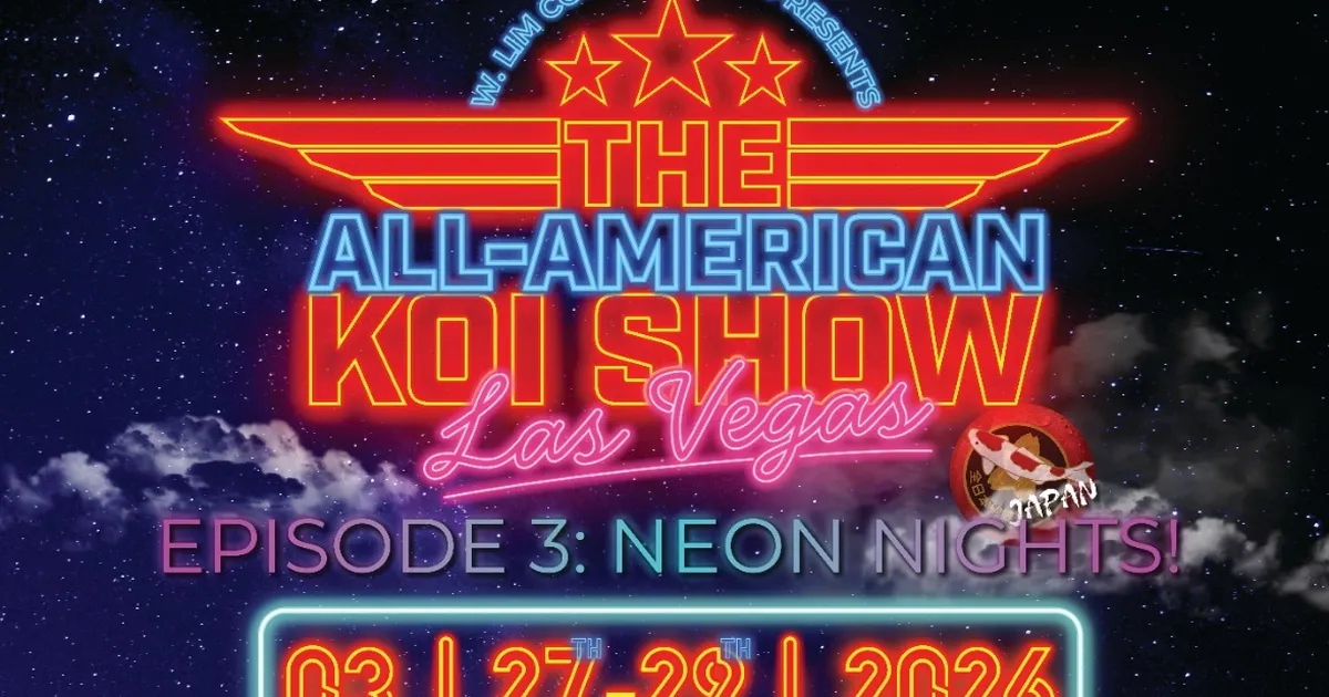 all american koi show 2026 koi dunyasinin en prestijli yarismasi las vegasa donuyor n3B65MNY.webp