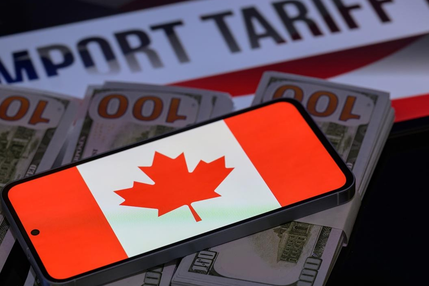 kanada abdnin tarifeleriyle mucadelede 141 milyar dolarlik harcamayi ongoren butce tasarisi sundu 1PU21hyP.jpg